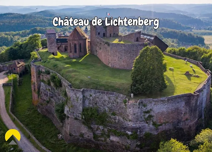 Little Wild - Centre * Saverne